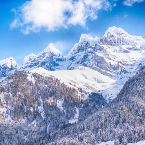 Berg in Champery