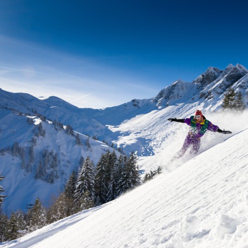 Skiërs