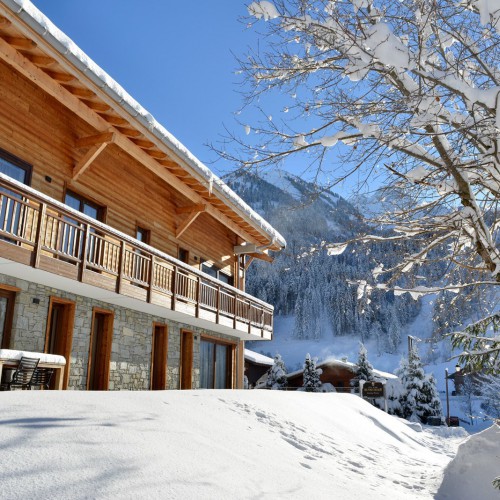 Luxe chalet Chatel