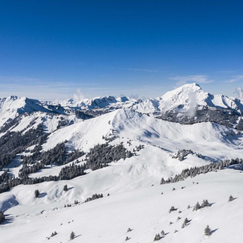 Skigebied pistes Châtel